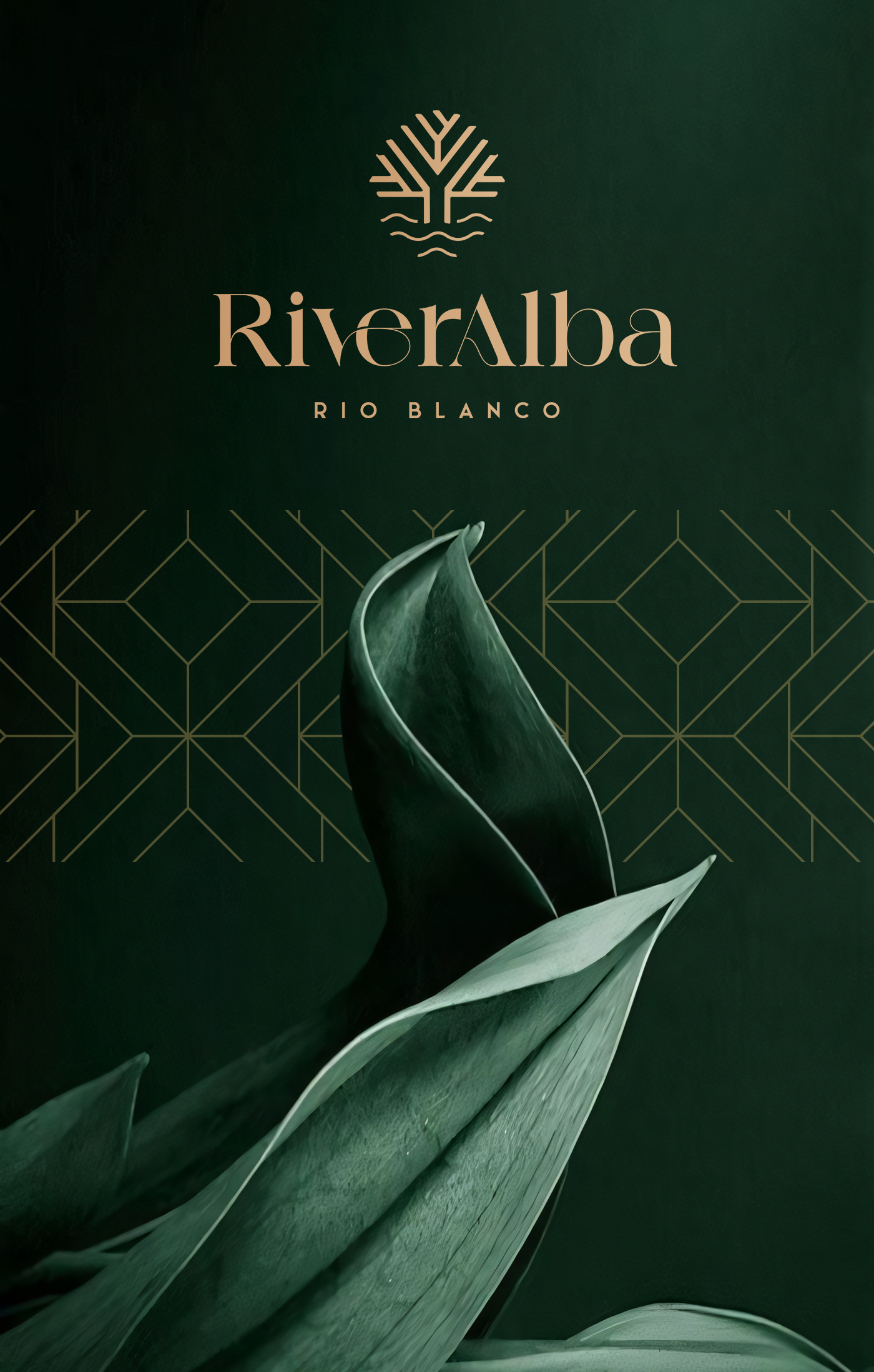 Diseño marca de